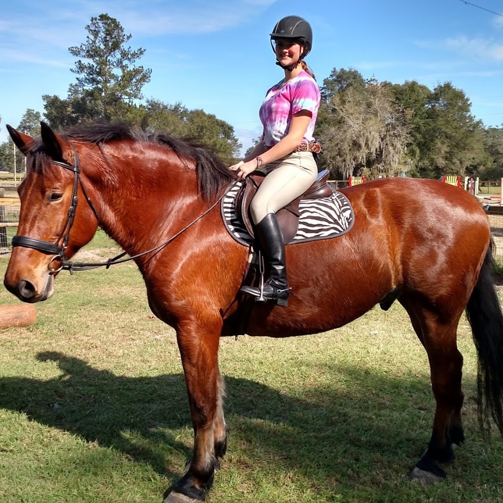 Meet your Posher, Kristen